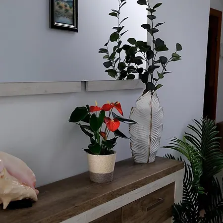 Casa De Maria 무로스